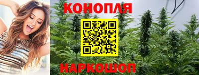 jwh Сланцы